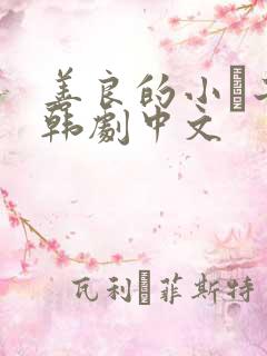 善良的小峓子2韩剧中文