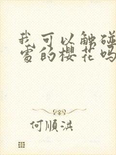 我可以触碰你深处的樱花吗