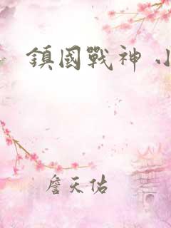 镇国战神 小说