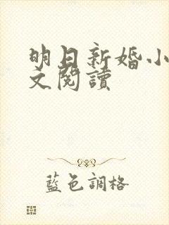 明日新婚小说全文阅读