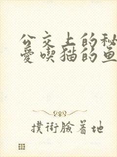 公交上的秘密 爱吃猫的鱼