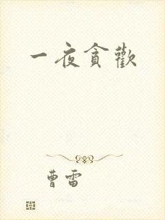 一夜贪欢