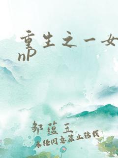 重生之一女九龙nP