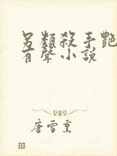 另类杀手艳福星有声小说