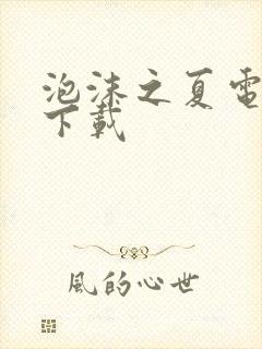 泡沫之夏电视剧下载