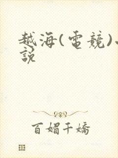 越海(电竞)小说