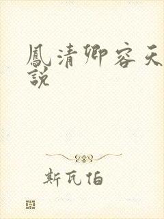 凤清卿容天凌小说