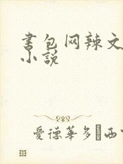 书包网辣文全本小说