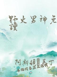 野火男神免费阅读