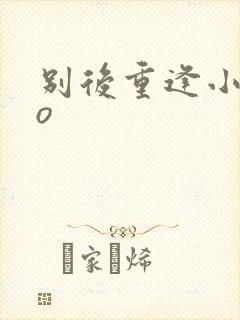 别后重逢小说po