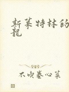 斯莱特林的铂金龙