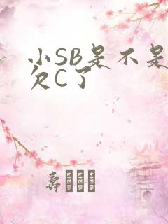 小SB是不是又欠C了