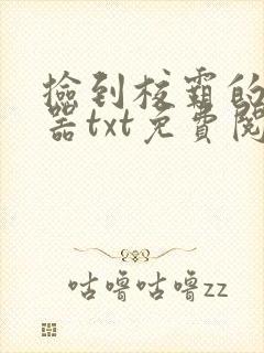 捡到校霸的遥控器txt免费阅读