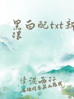 黑白配txt新浪