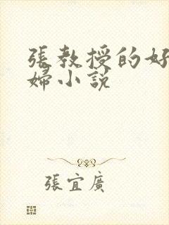 张教授的好儿媳妇小说