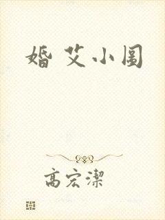 婚 艾小图
