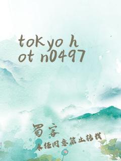 tokyo hot n0497