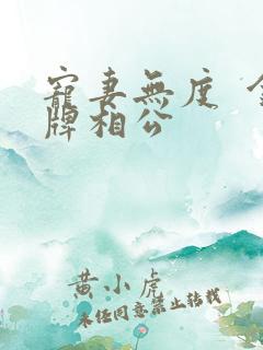 宠妻无度  金牌相公