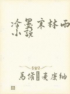冷墨寒林雨彤的小说