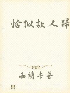 恰似故人归小说