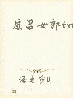 应召女郎txt