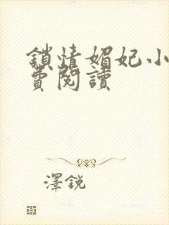 锁情媚妃小说免费阅读