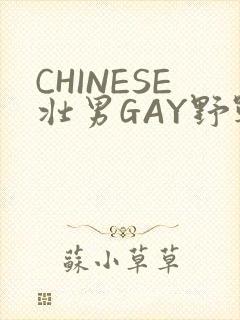 CHINESE壮男GAY野战强迫TUBE