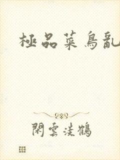 极品菜鸟乱江湖