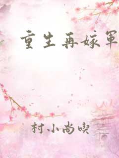 重生再嫁军门