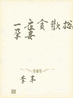 一夜贪欢总裁幸孕妻