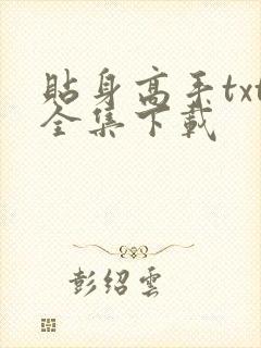 贴身高手txt全集下载