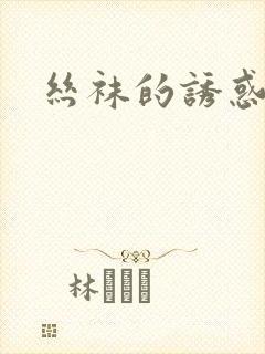 丝袜的诱惑小说