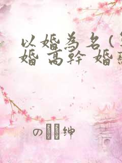 以婚为名 (军婚 高干 婚恋)