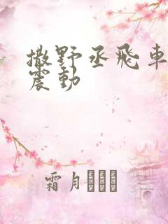 撒野丞飞车道具震动