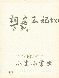 调皮王妃txt下载