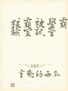 校霸被学霸压实验室试管