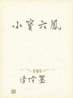 小宝六凤