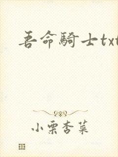 吾命骑士txt