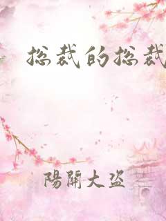 总裁的总裁情妇