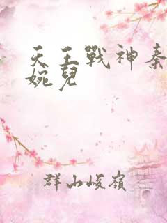 天王战神秦武林婉儿