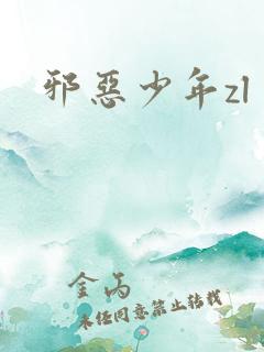 邪恶少年zl