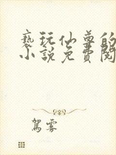 亵玩仙尊的道侣小说免费阅读