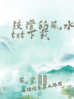 狡猾的风水相师txt下载