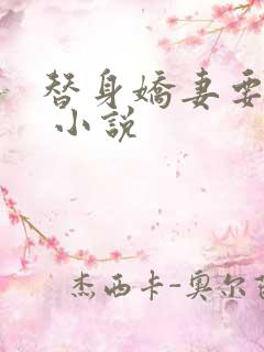 替身娇妻要离婚 小说