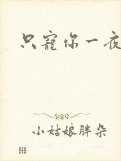 只宠你一夜