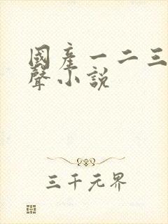 国产一二三区有声小说