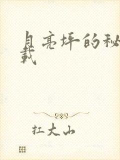 月亮坪的秘密下载