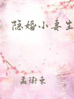 隐婚小妻生个娃