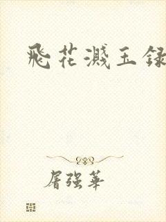 飞花溅玉录
