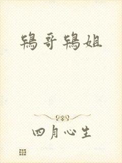 鸨哥鸨姐
